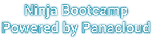 Ninja Bootcamp by Panacloud